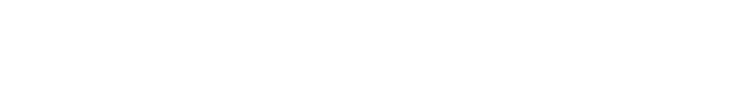 Nestify Logo website white